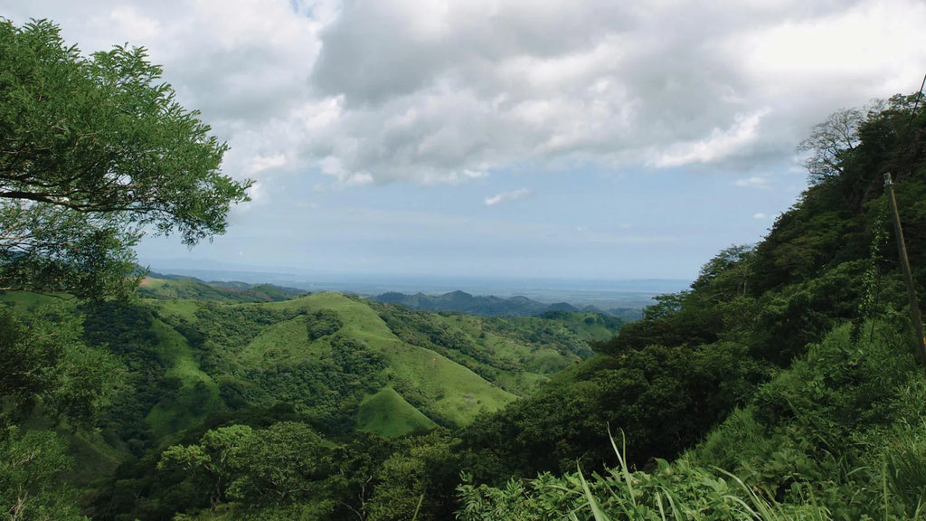 Costa Rica: Rainforests, Volcanoes & Wildlife