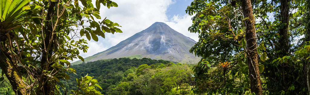 Costa Rica: Rainforests, Volcanoes & Wildlife